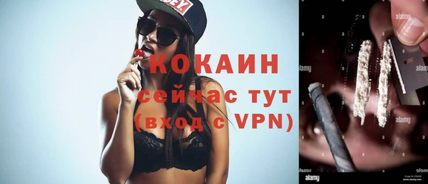дживик Вяземский