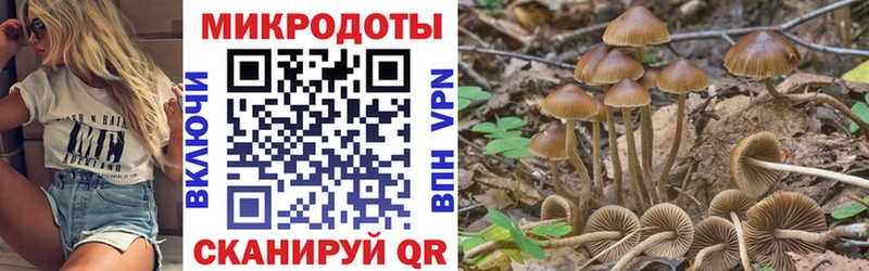 Псилоцибиновые грибы ЛСД  Бердск 